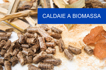 Caldaie a Biomassa