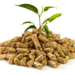 Pellet
