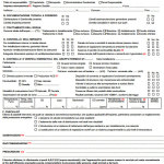 Modello Rapporto di Controllo di Efficienza Energetica Tipo 1 Caldaia